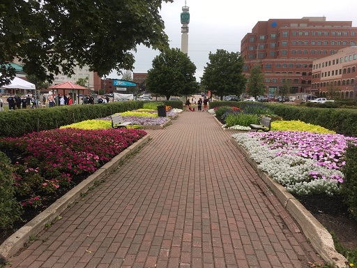 Moncton Ranks 15 Of 25 Best Small Cities - Vimarsana News