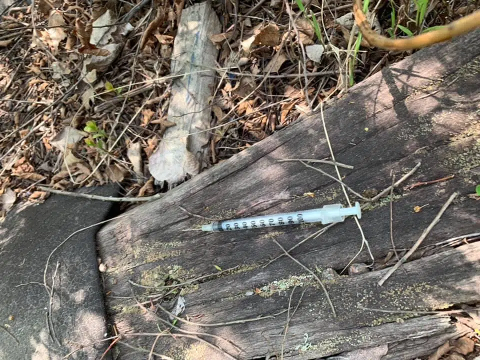 Moncton Needle PickUp Program 91.9 The Bend