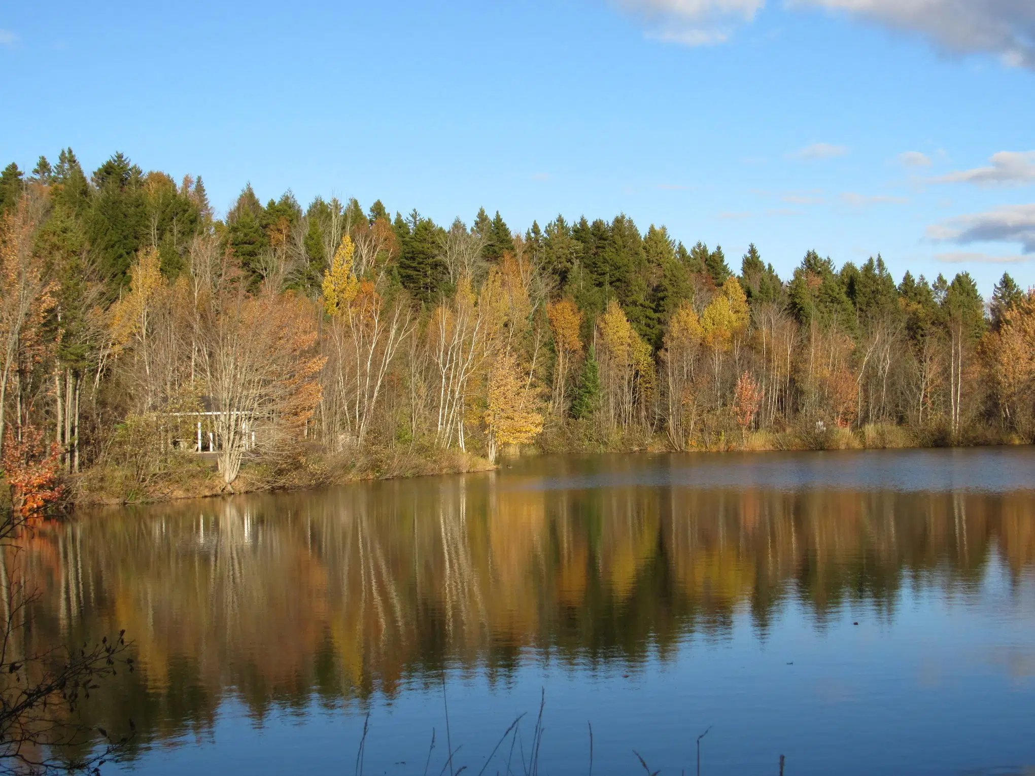Investments Announced For Moncton Green And Infrastructure Projects