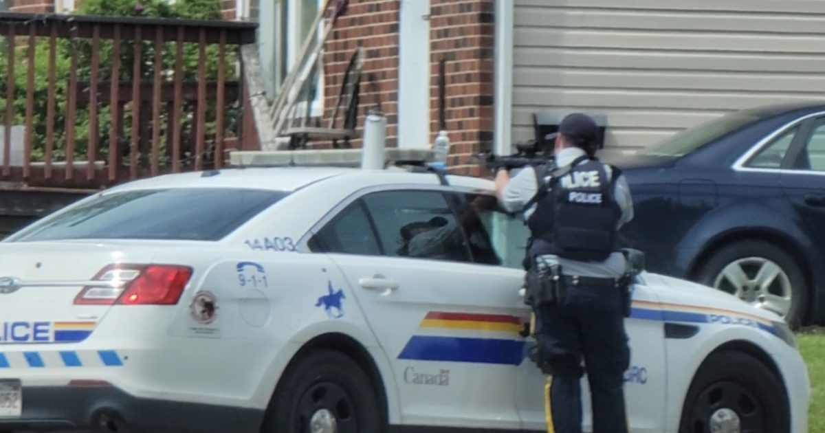 Man Faces Nine Charges In Argyle Street Incident - Vimarsana News