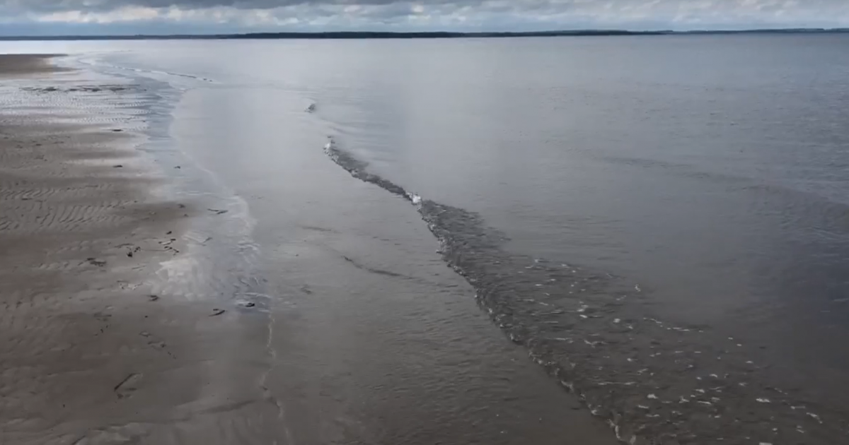 No Swim Advisory For NB Beaches Continues - Vimarsana News