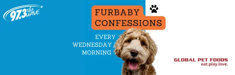 Feature: /furbaby-confessions/