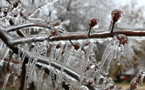 Freezing Rain And Rain Expected Across NB