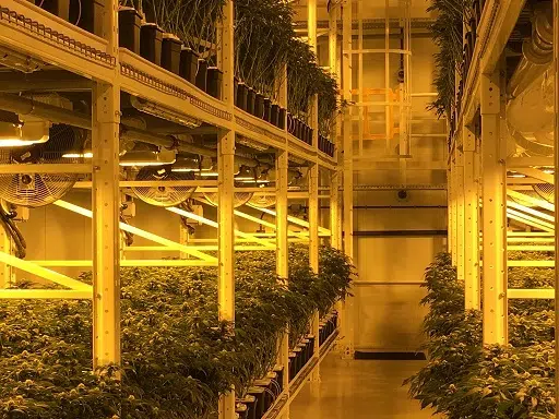 Organigram Agrees To Settle Class Action Lawsuit