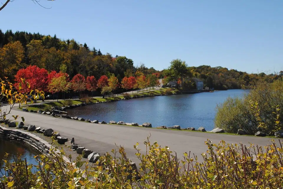 Man Arrested After Armed Person Reported At Park