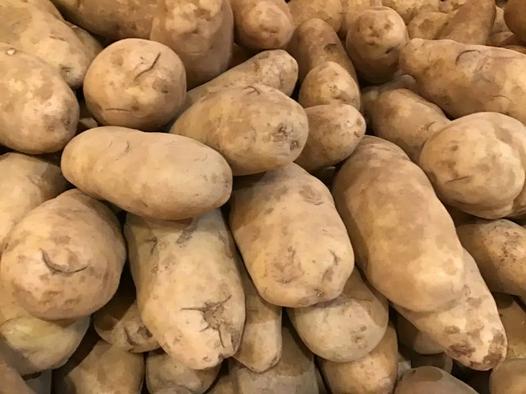 P.E.I. Potato Board Decries Export Ban