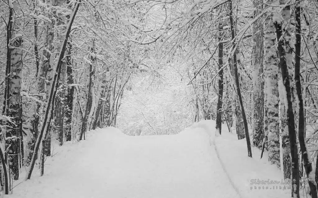 'Major' Winter Storm Possible Friday: Environment Canada