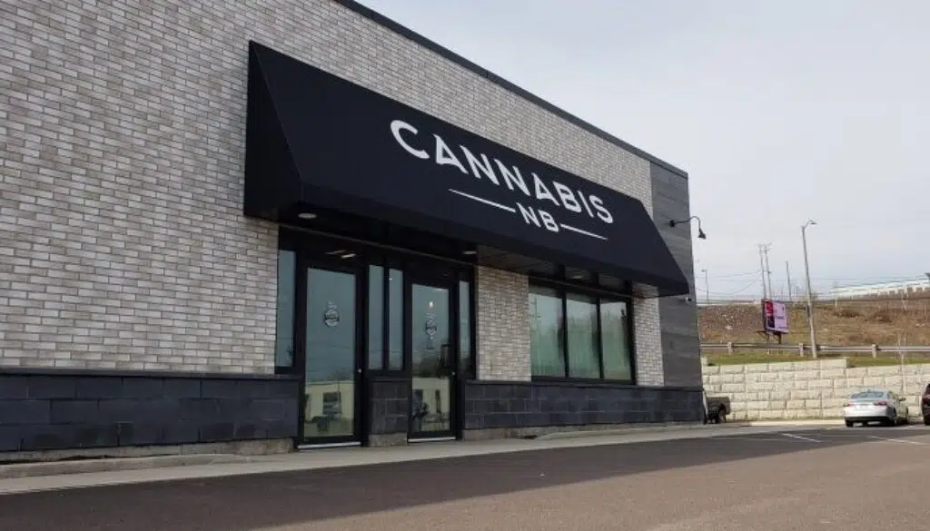 After Rocky Start, Cannabis NB Is Debt-Free And Profiting