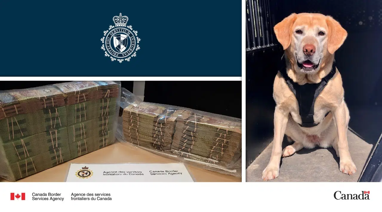 CBSA Makes Significant Seizure At Woodstock Border