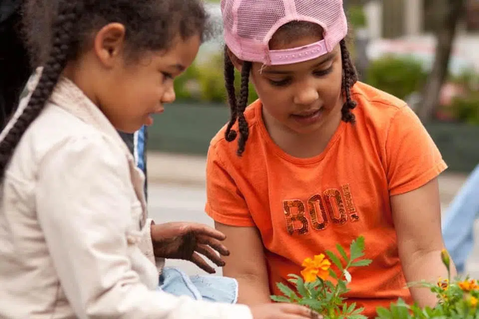 Marigolds And Murals To Celebrate 25th Anniversary