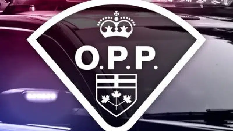 N.B. Man Arrested In Ontario For Failing To Stop For Police