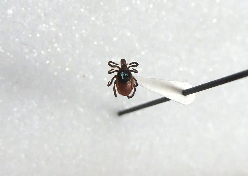 Expert Says Educate Yourself About Ticks