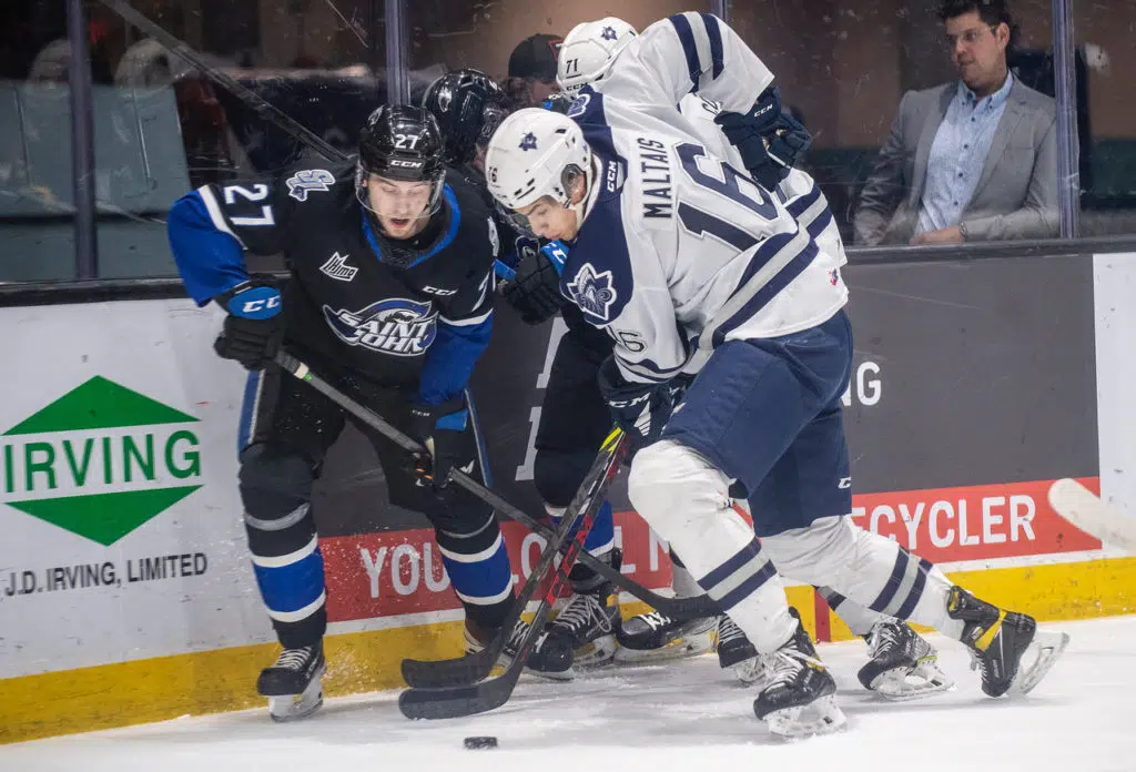 Sea Dogs Eliminated From President Cup Playoffs