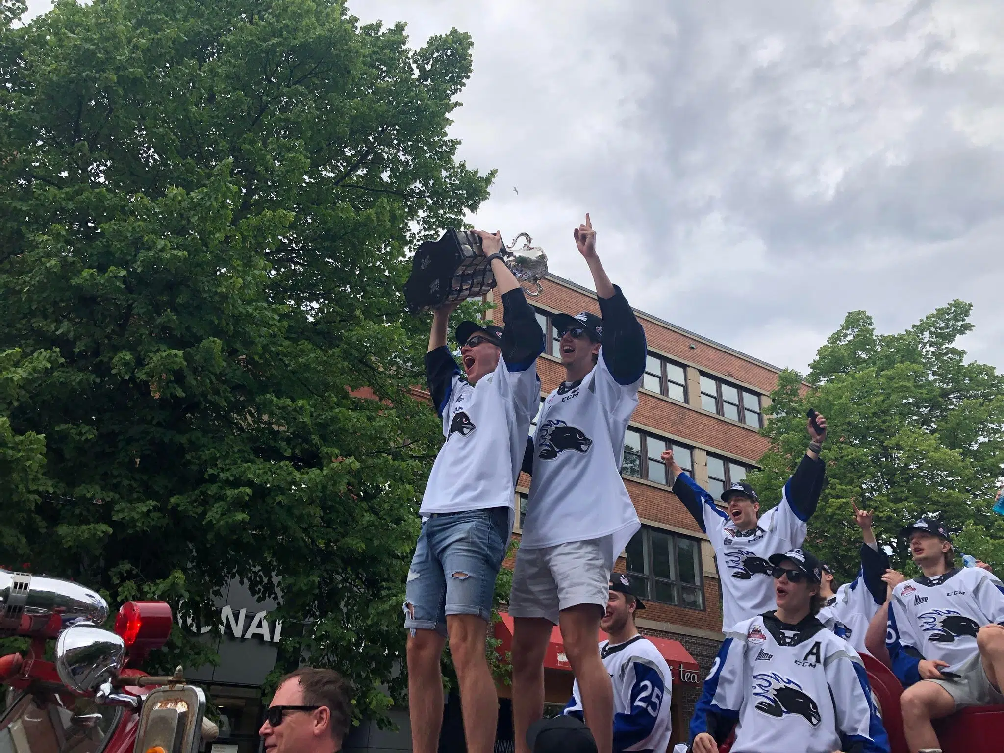 VIDEO: Sea Dogs Parade Memorial Cup Through Uptown