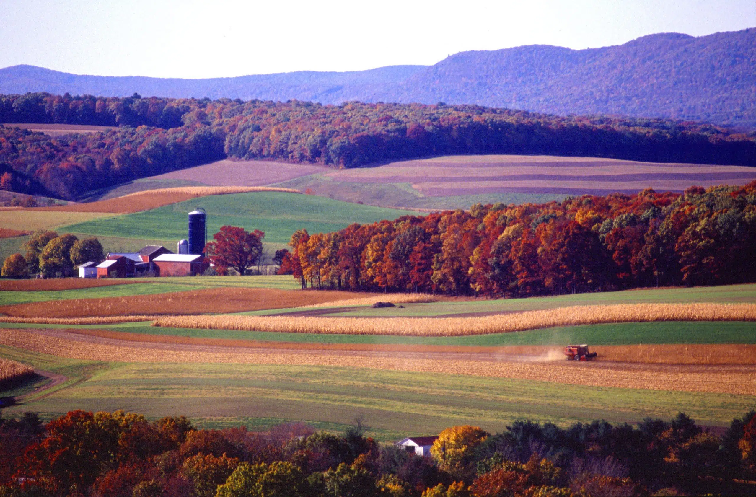 Farmers Union Opposing Ban On Temporary Foreign Workers