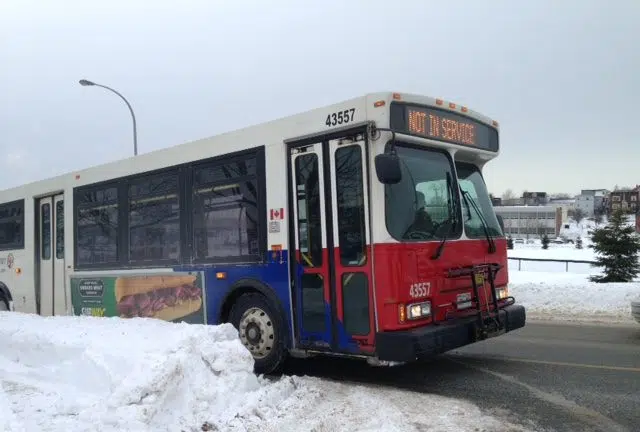 Saint John Transit Pulling Its Buses