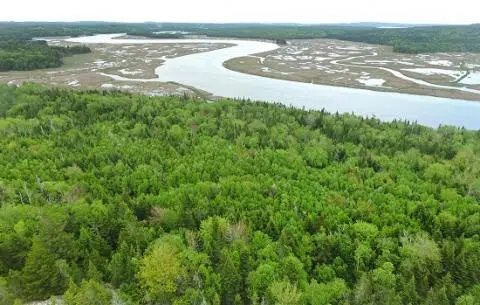 New Brunswickers Invited To Nominate Next Conservation Areas