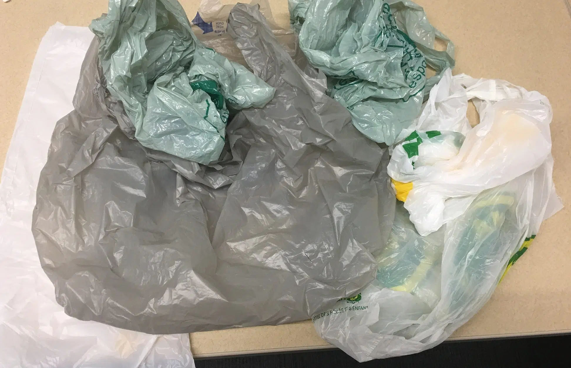 City Moves Toward Plastic Bag Ban