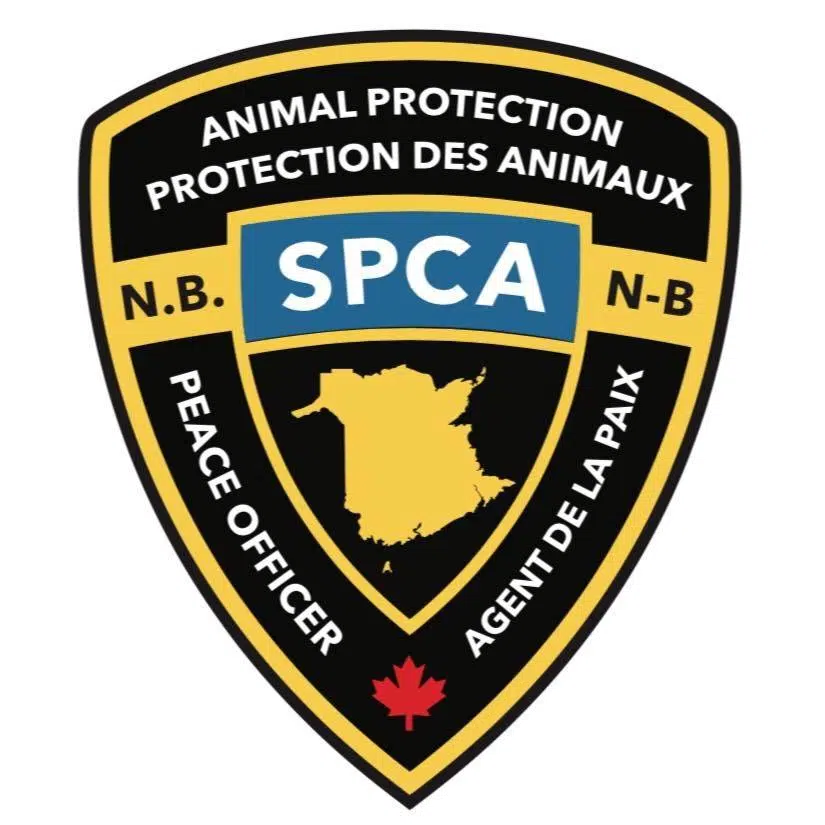 SPCA Seizes 61 Dogs In Northeastern N.B. | Country 94