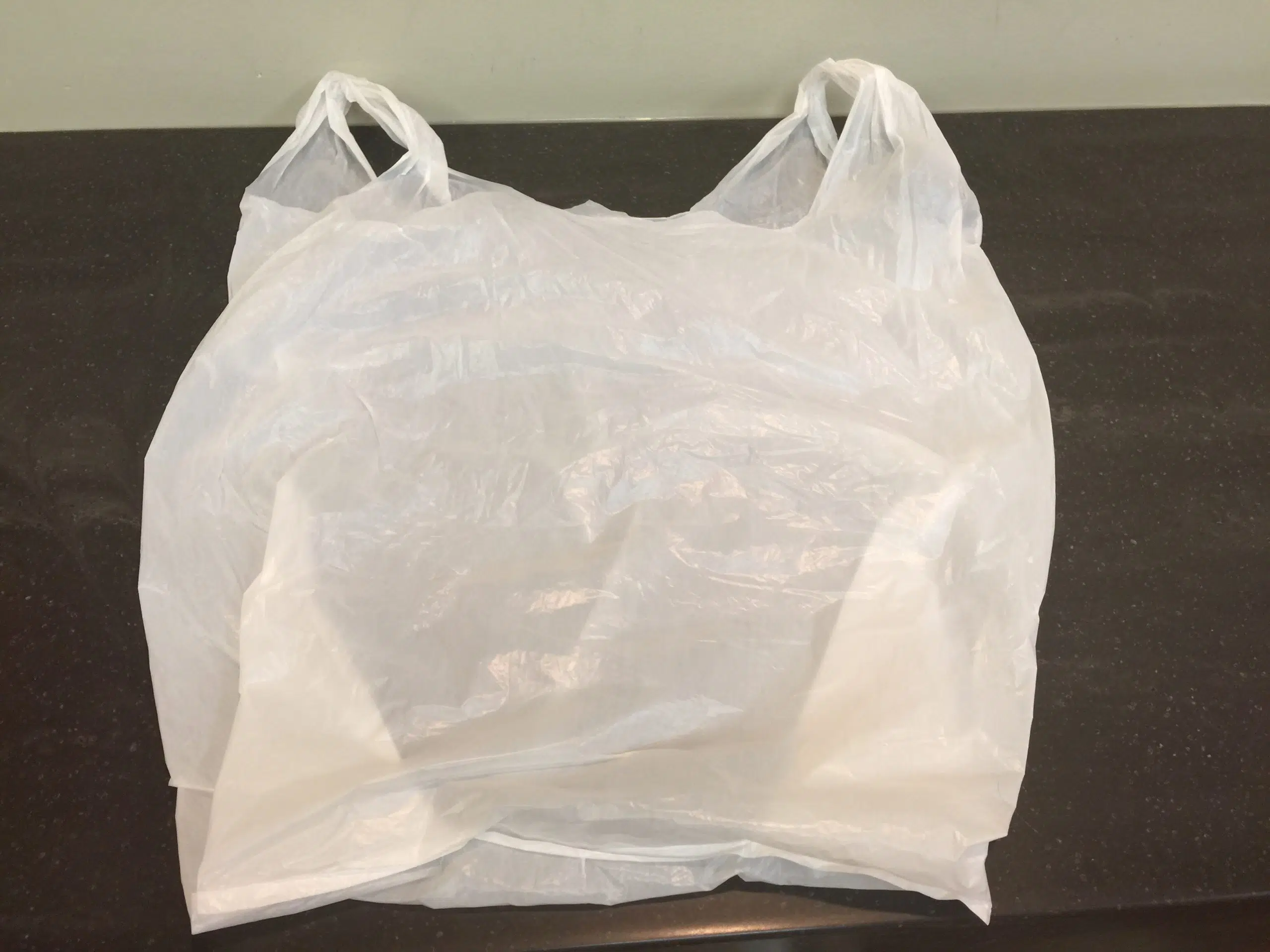 N.B. Municipalities Want ProvinceWide Ban On Single-Use Plastic Bags ...