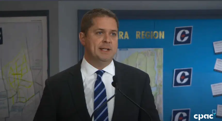 Scheer: More Government Oversight Needed