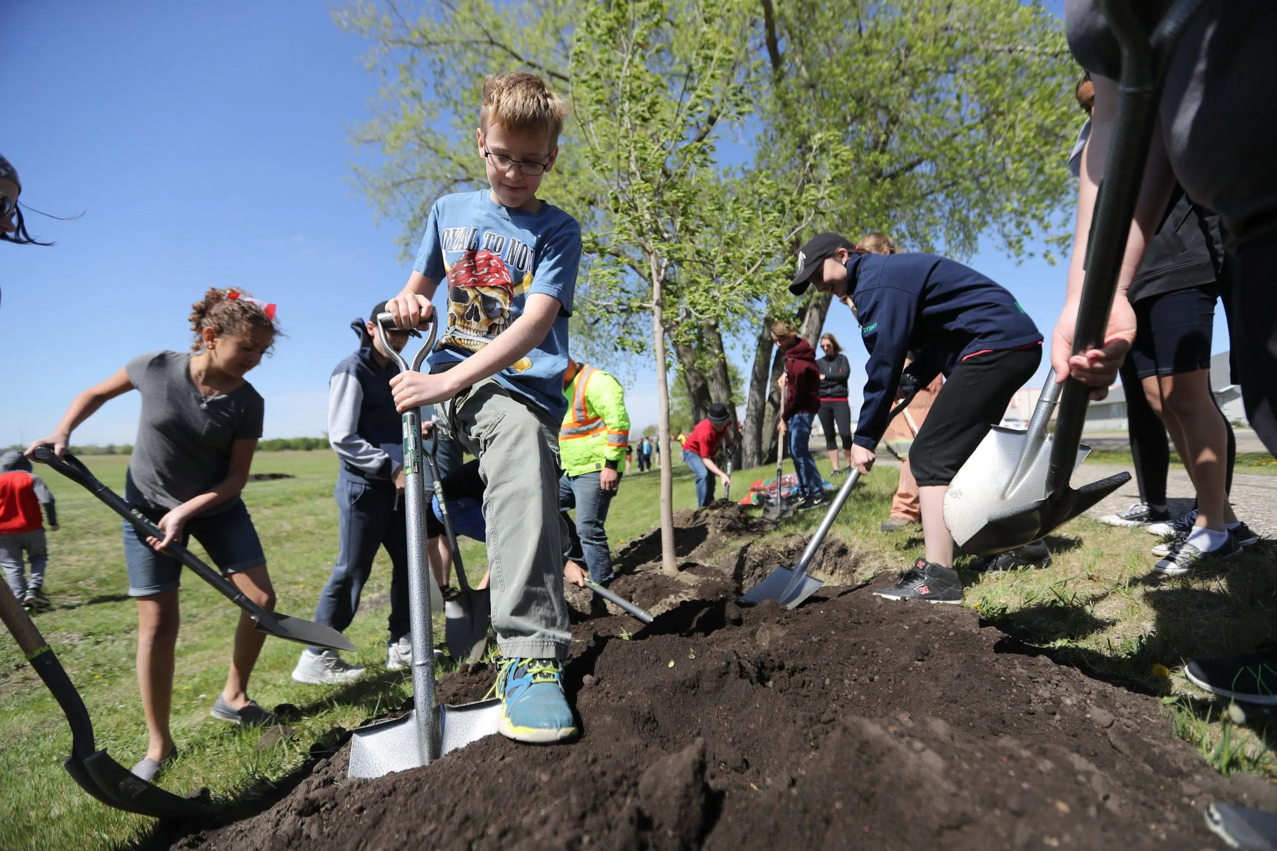 Tree Canada Celebrates The Benefits of Trees | Country 94