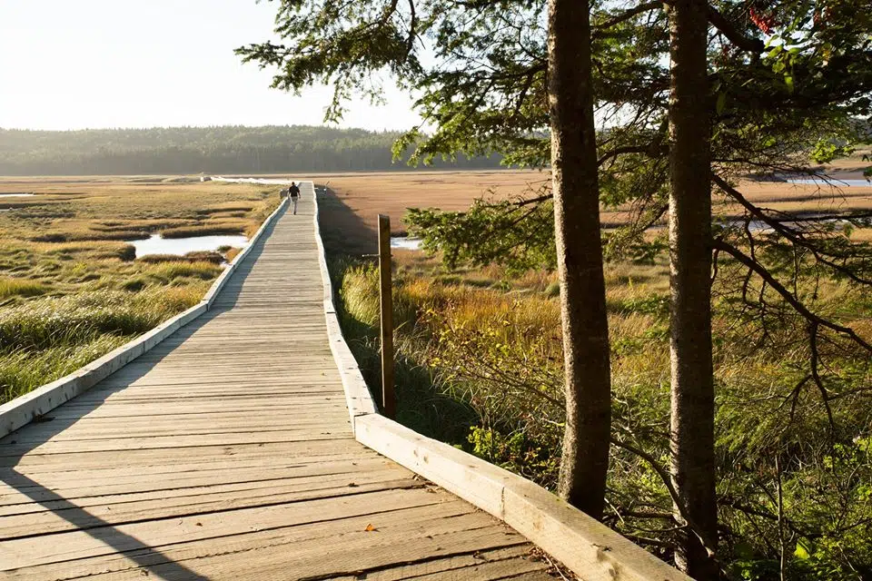 Irving Nature Park, Wolastoq Park Temporarily Closed