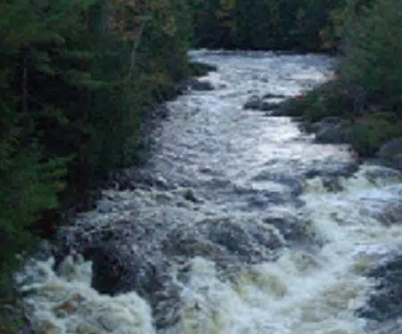 Pollett River Run Moved Online This Year