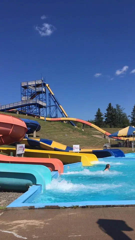 Less People, Fewer Lineups At Magic Mountain This Year