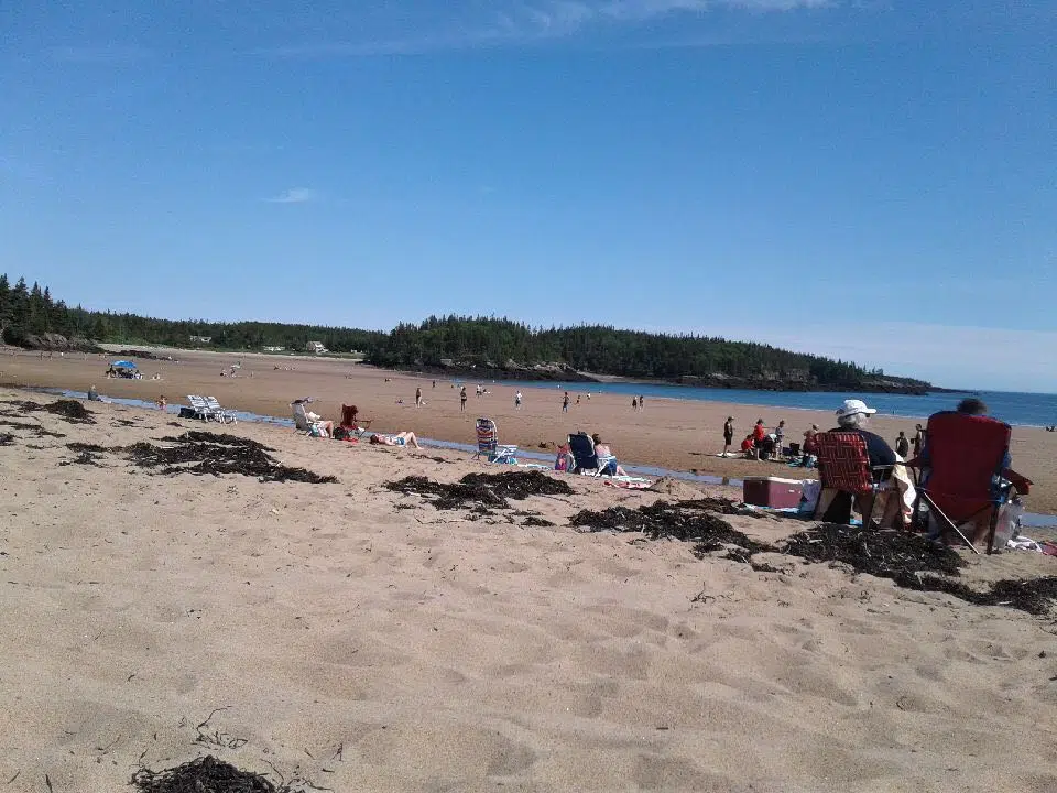 New River Beach Cleared For Swimming