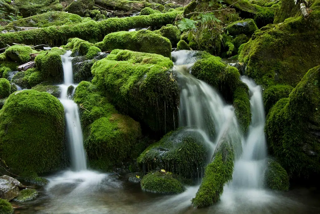 Reservations Open At N.B. National Parks | 91.9 The Bend