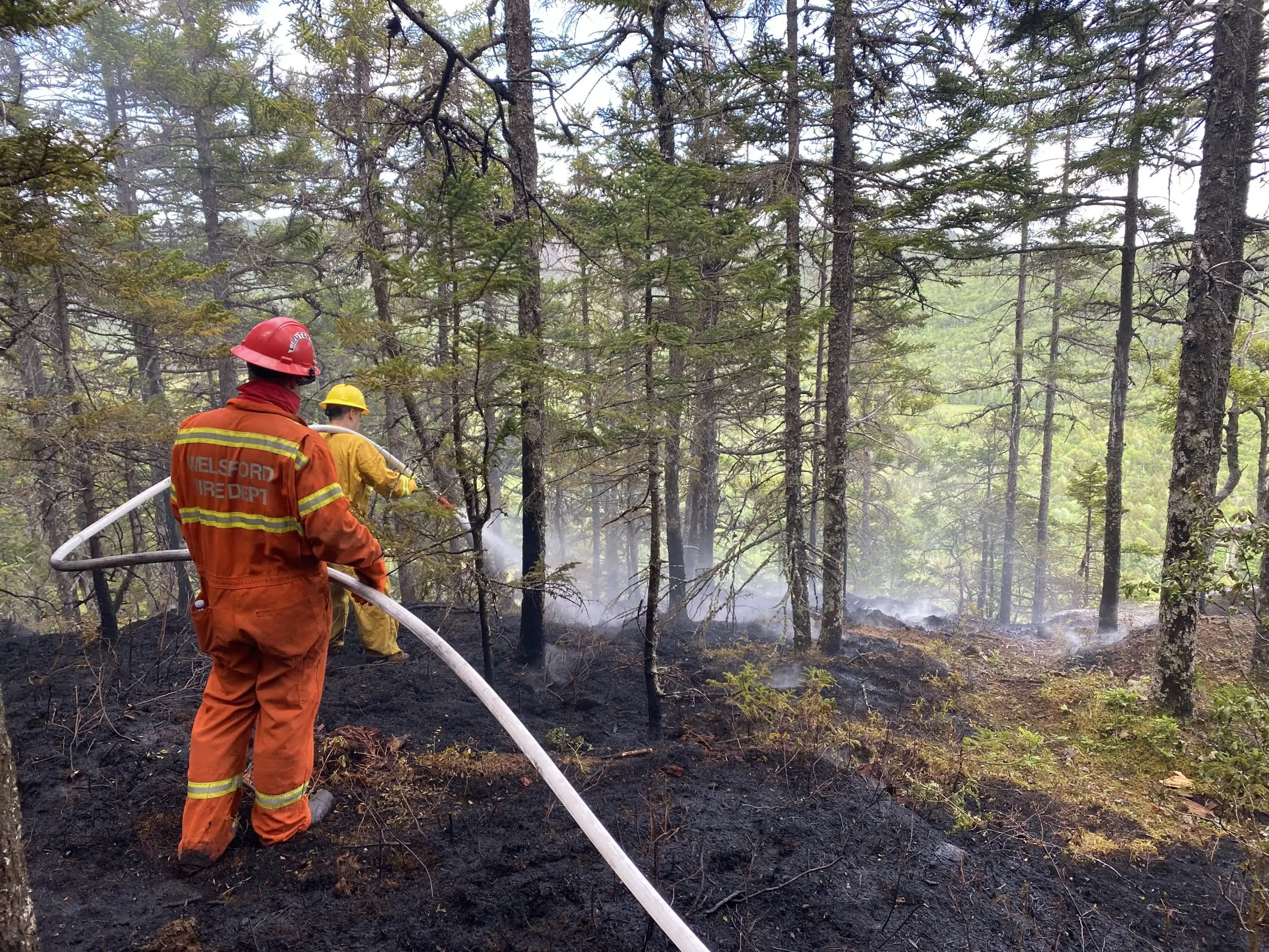 UPDATE: Eagle Rock Forest Fire Knocked Down