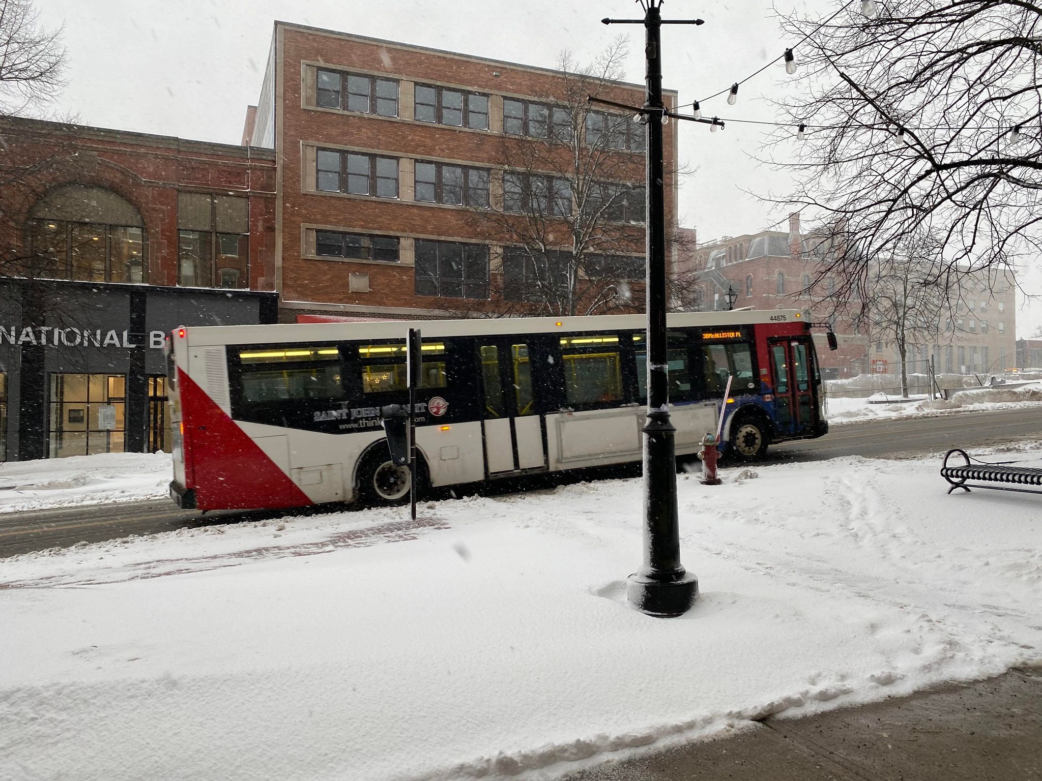 Bus Service Cancelled Ahead Of Storm - Vimarsana News