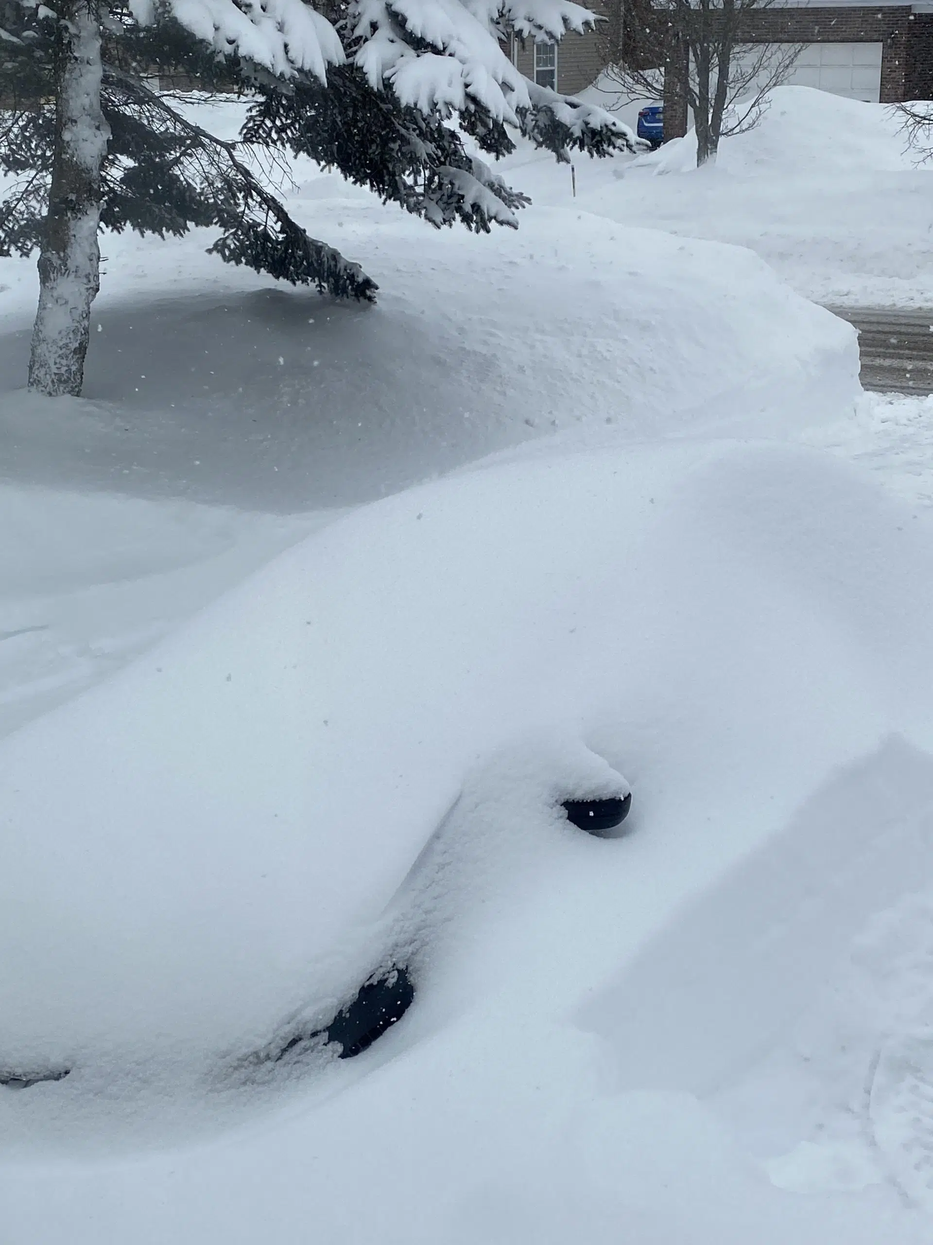 Another Winter Storm Blankets Southern Nb 91 9 The Bend