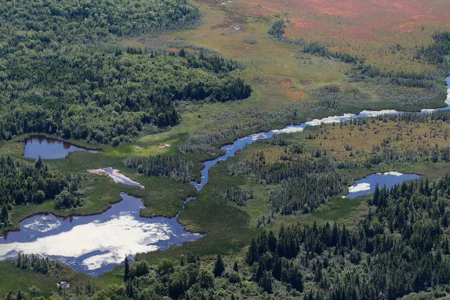 Massive Land Donation Made On The Chignecto Isthmus | 97.3 The Wave