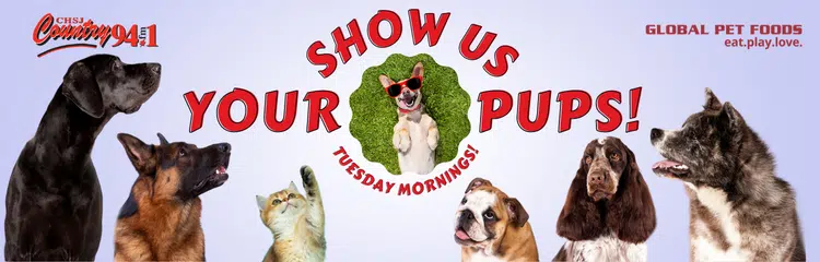 Feature: /show-us-your-pups/