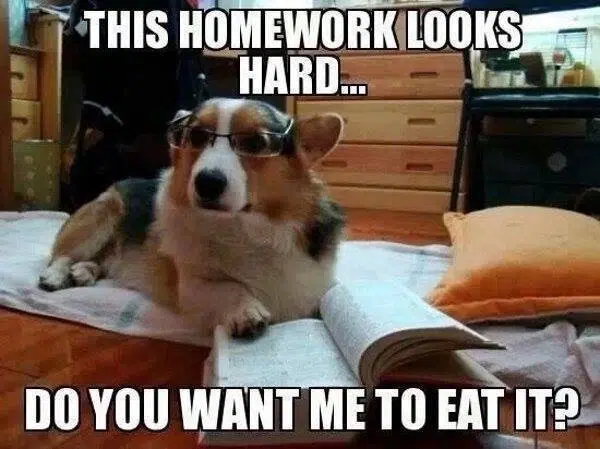what if your dog actually ate your homework