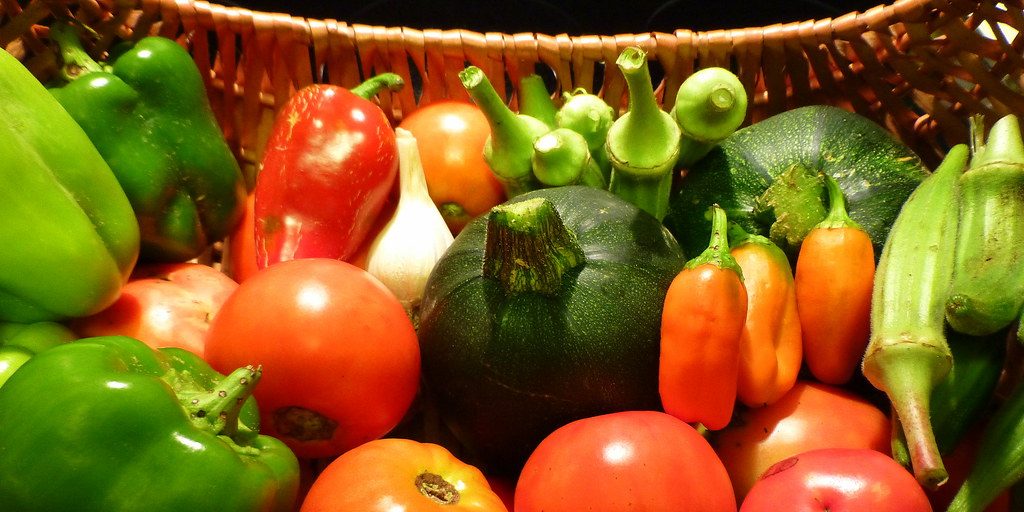 Cost Of Groceries Climbs In Northwestern Ontario - Vimarsana News