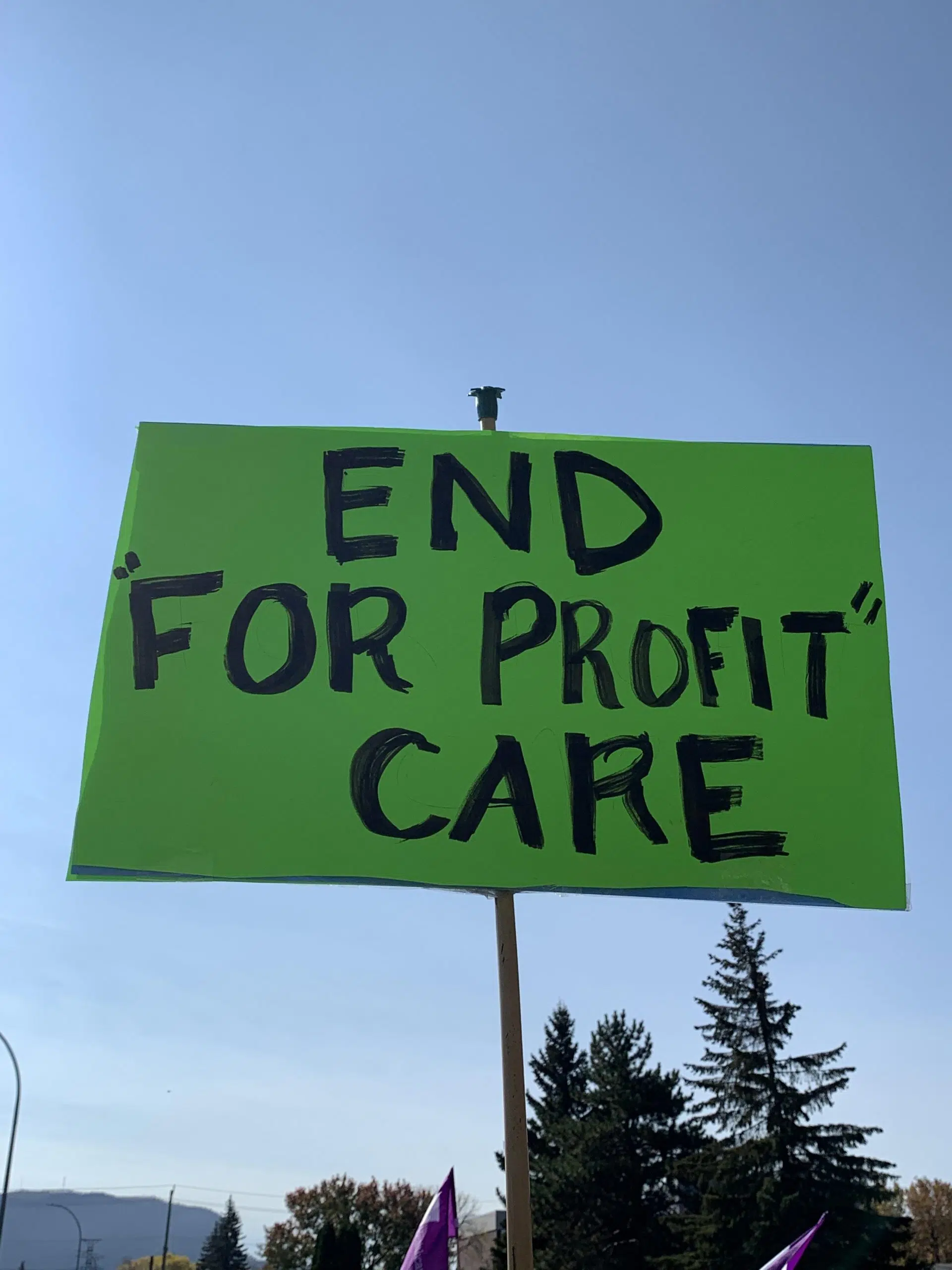 Province Wide Protests Against LTC Home Conditions