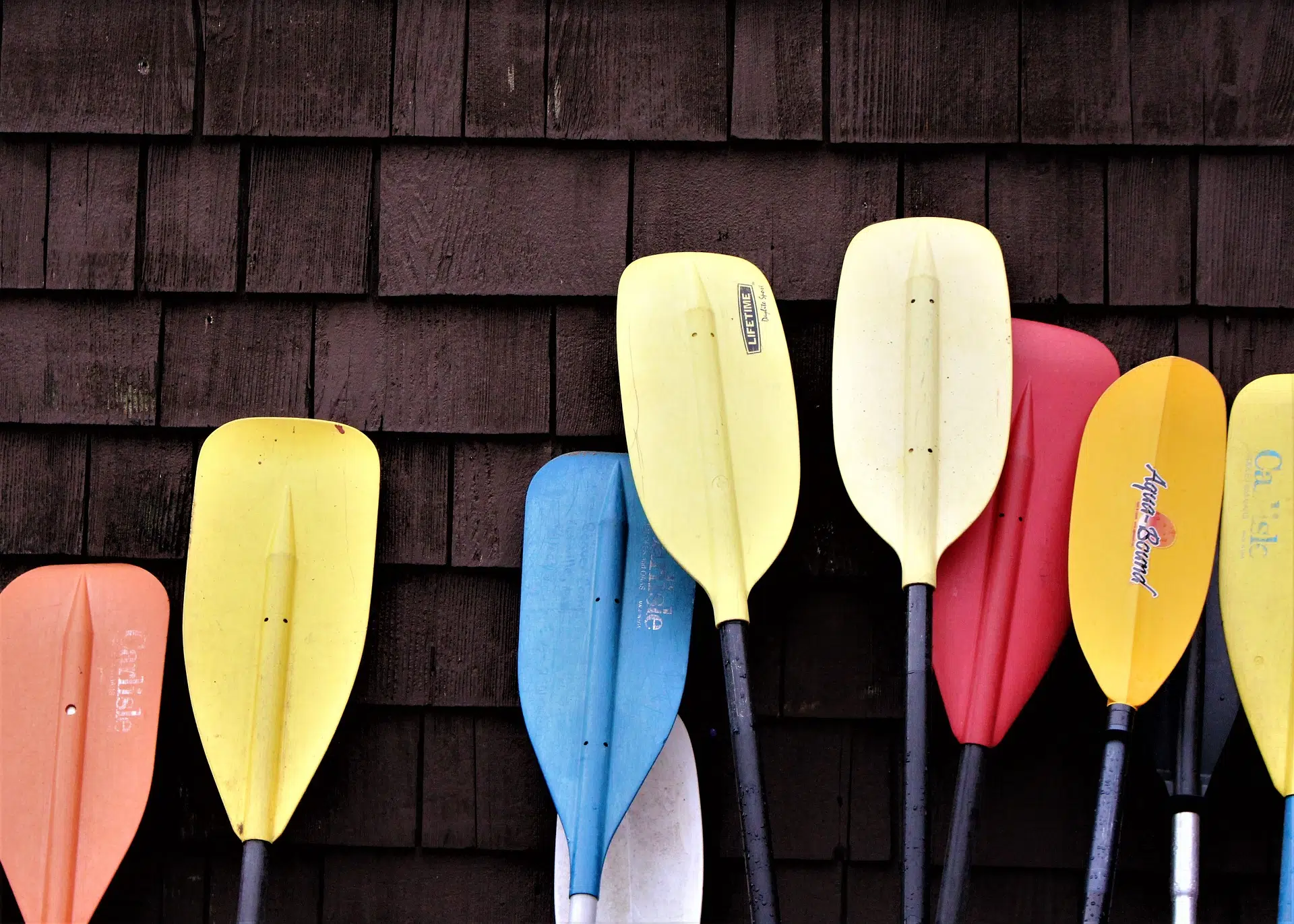 The Next Steps For Lakehead Canoe Club