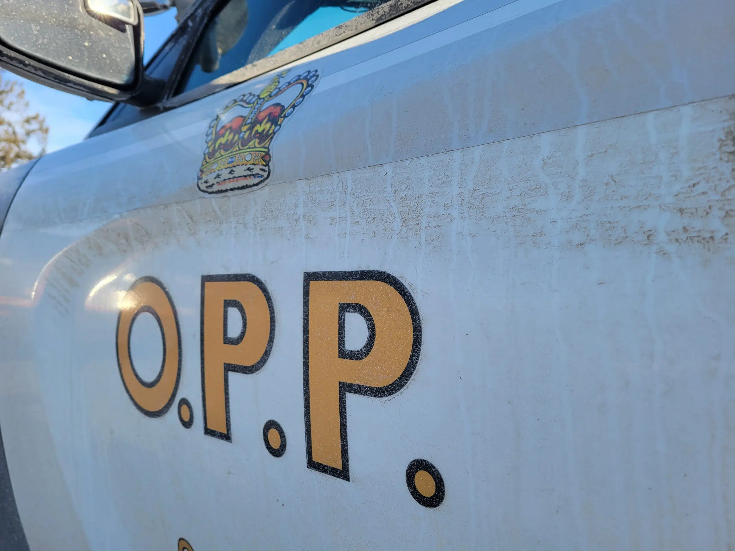 Thunder Bay Man Arrested In Dryden After Assault