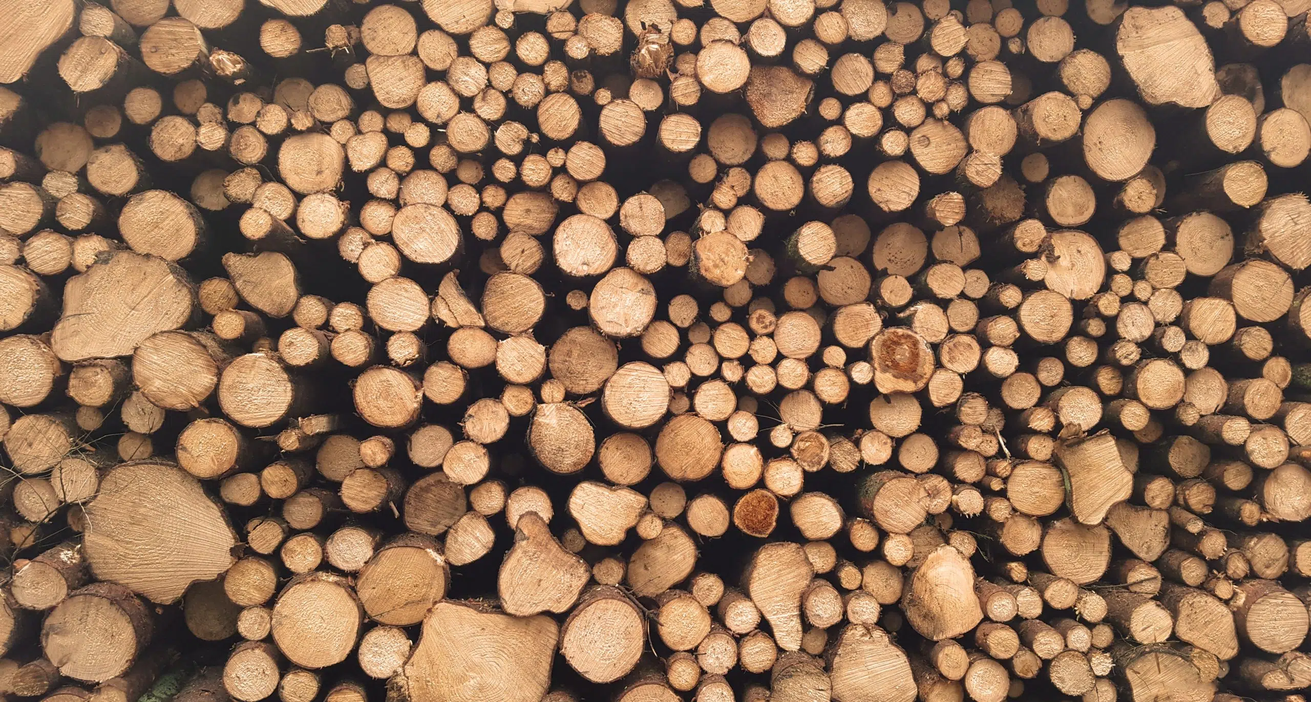 Higher Softwood Lumber Tariffs Don’t Make Sense: Expert