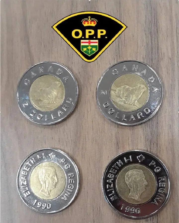 Bogus Toonies spotted in Ontario