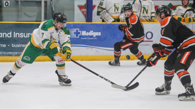 Home Cooking For Fighting Walleye, North Stars - Vimarsana News