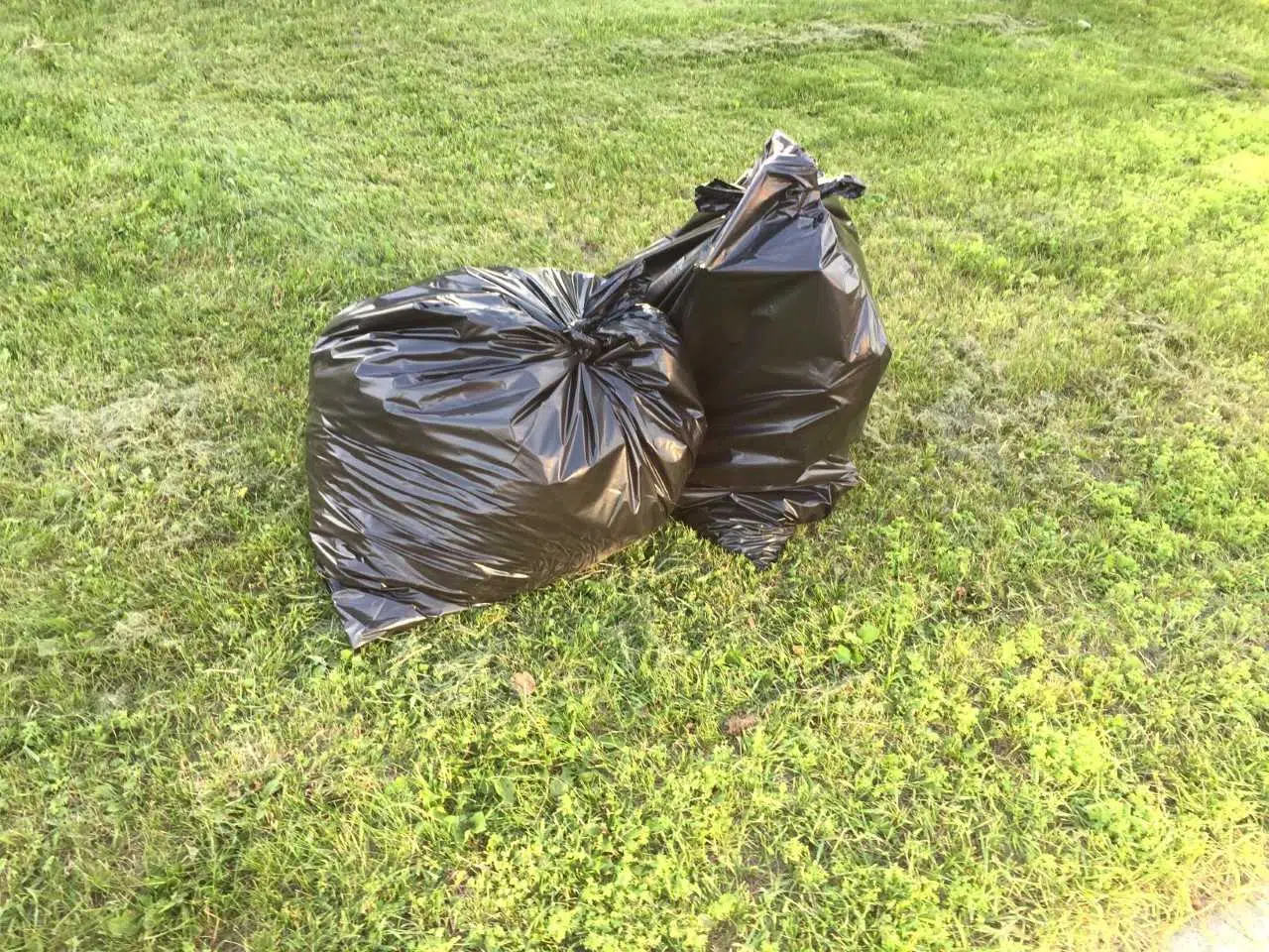 Council Rejects Mandatory Garbage Bins Country 105 Thunder Bay's