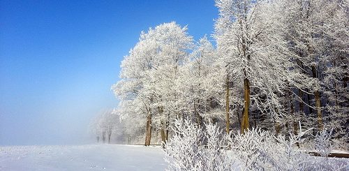 Stay Warm During The Municipal State Of Emergency - Vimarsana News