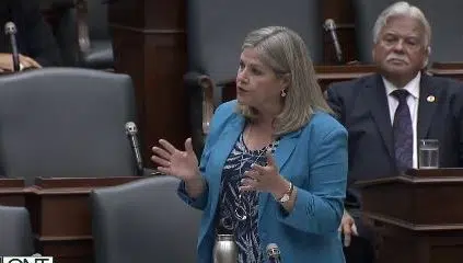 NWO Schools, Seniors Need Help: Horwath