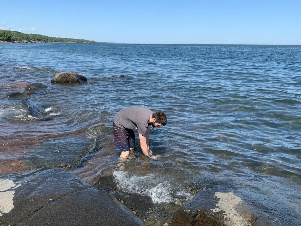 Discovery At Duluth Beaches Relating To COVID-19