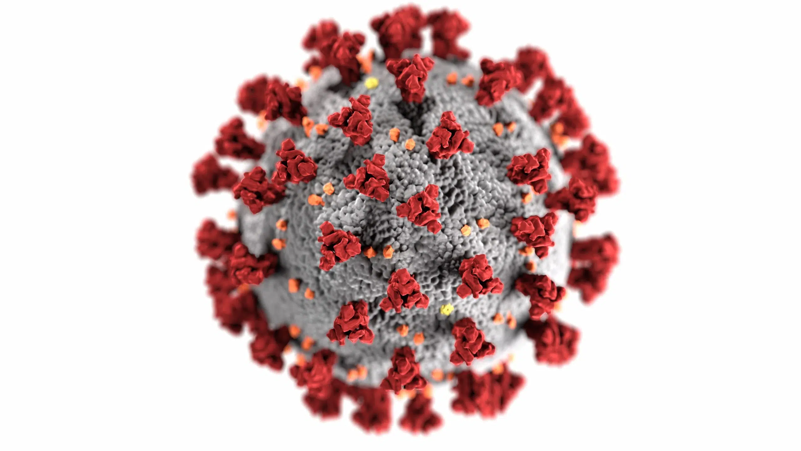 TBDHU Reports Variant Case