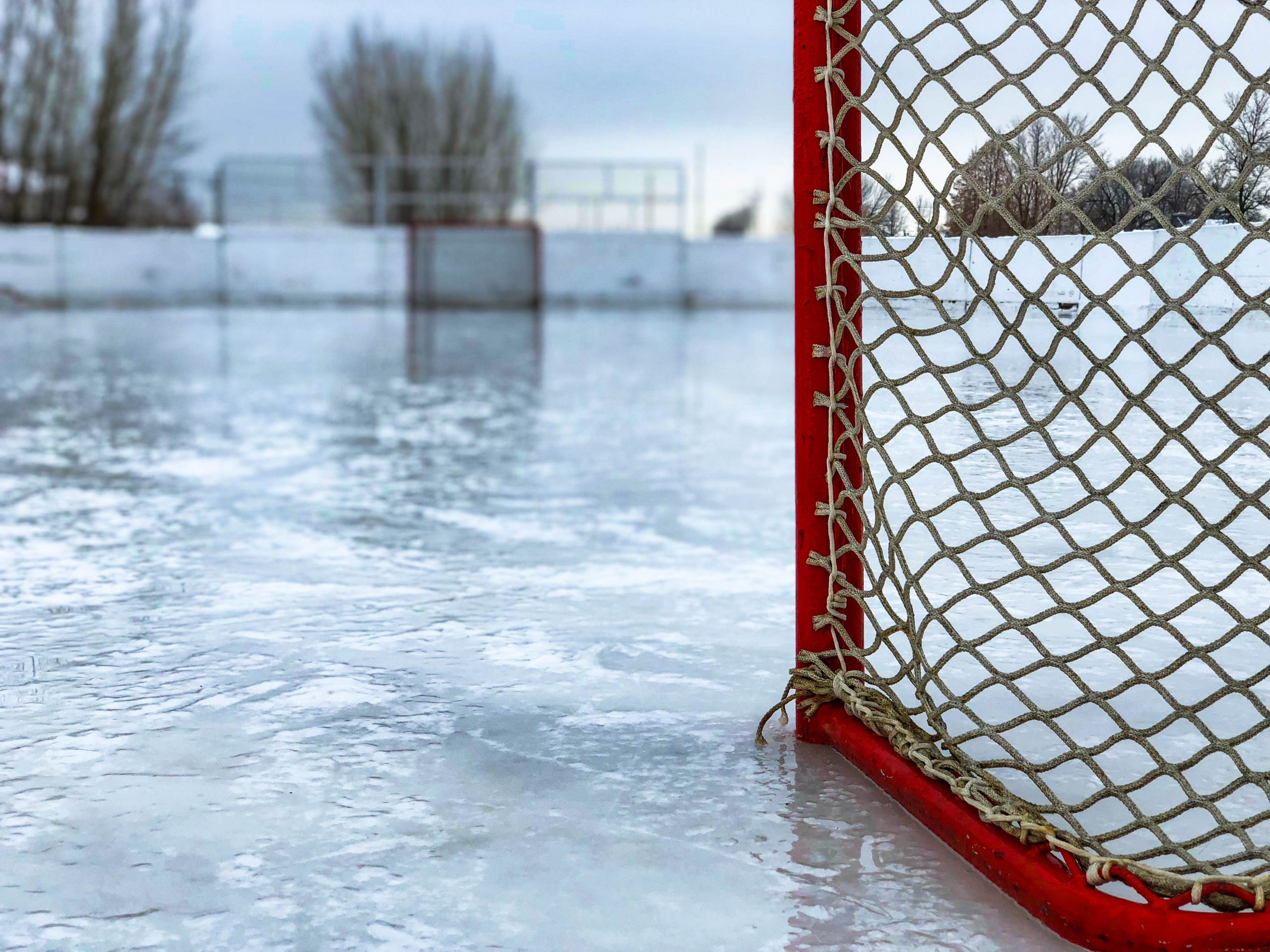 UPDATE: Decision Deferred To Put Hockey Nets Back On - Vimarsana News